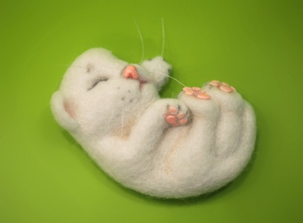 Брошь из шерсти морская Свинка