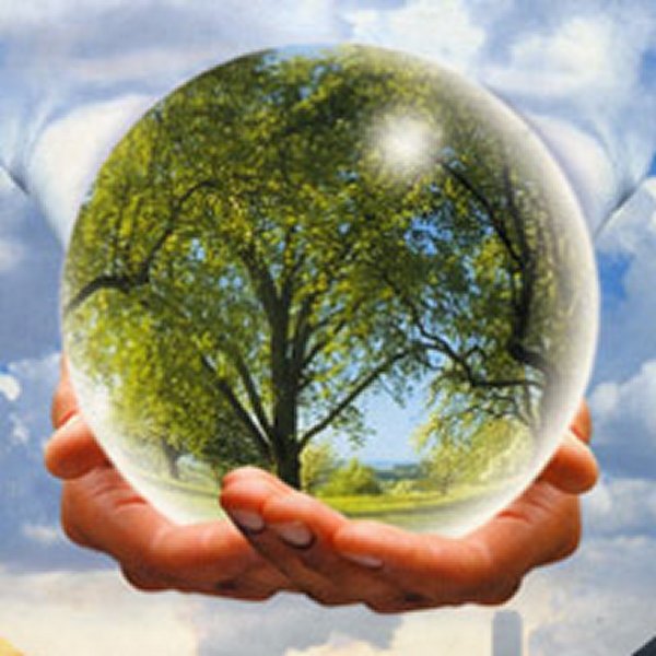 21 Марта Международный день лесов