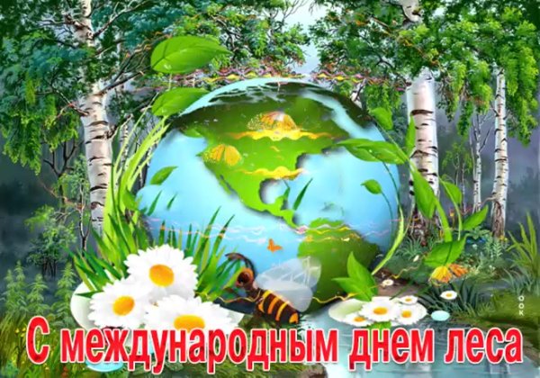 День леса