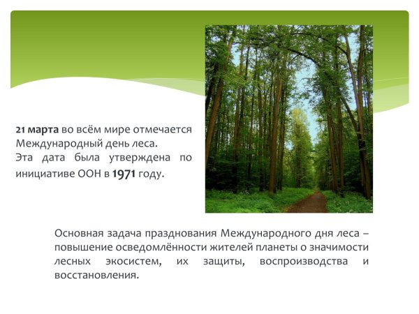 21 Марта Международный день лесов