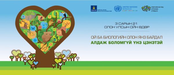 Международный день лесов (International Day of Forests)