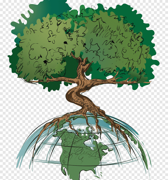 День леса 2020