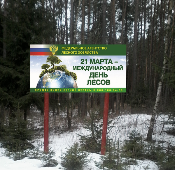 Международный день охраны леса