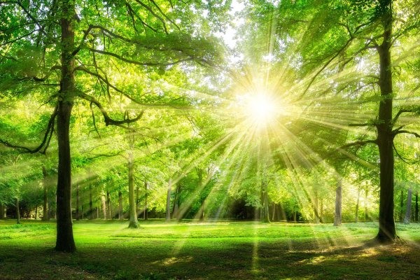 Защита окружающей среды