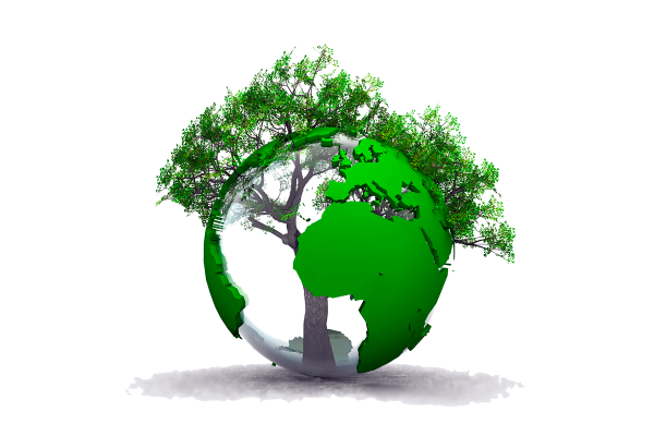 День леса рисунки