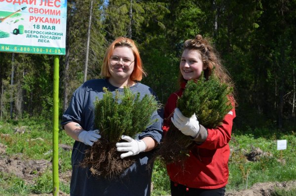 День леса в детском саду