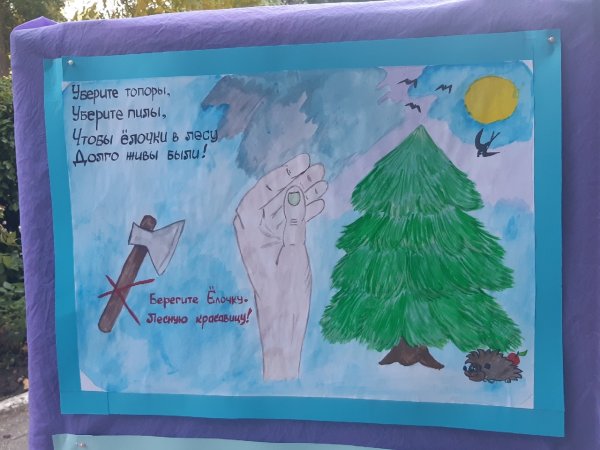 Природа Тайга ХМАО