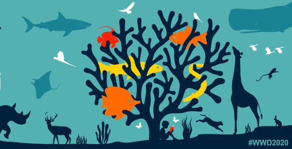 Всемирный день защиты дикой природы