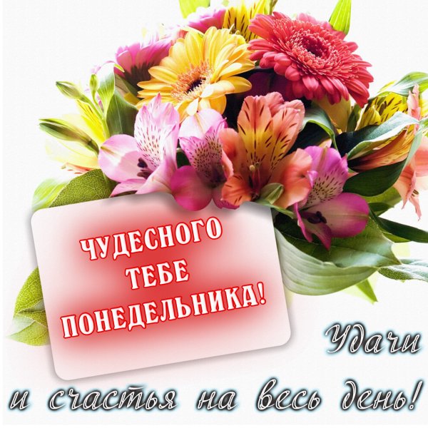 Пожелания на понедельник