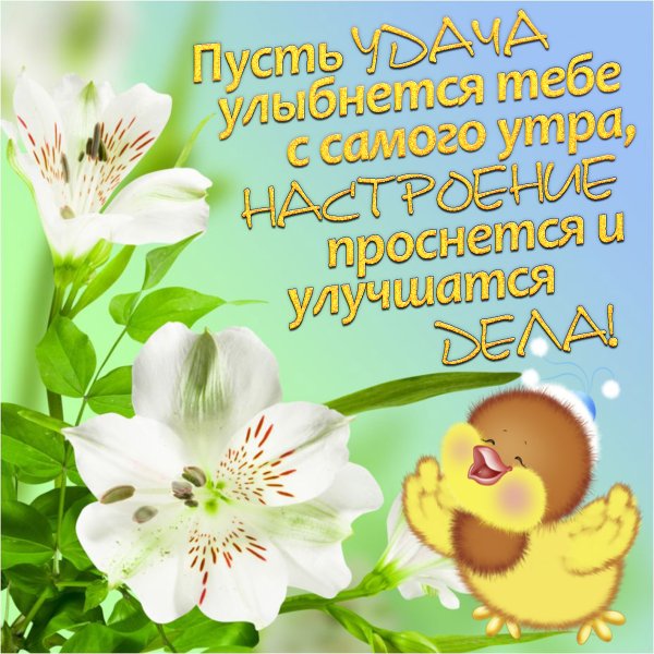 Удачи и хорошего настроения