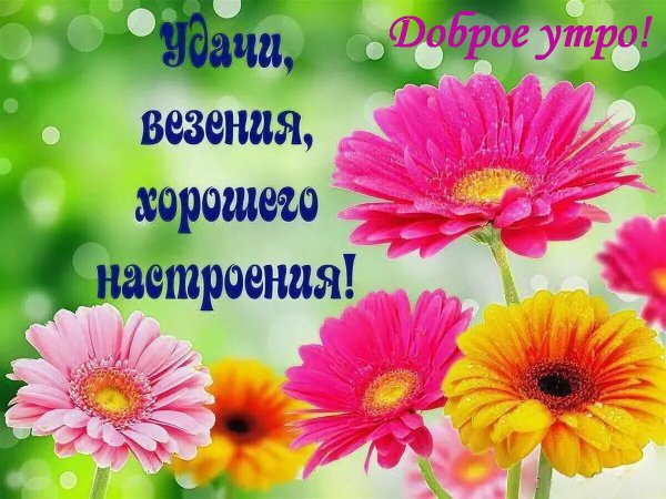 Здоровья удачи и хорошего настроения