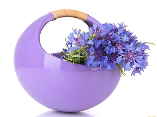 Пожелания с добрым утром вторника