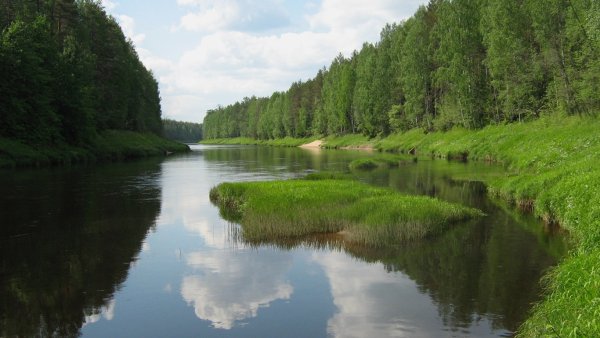 Ока Мокша Волга