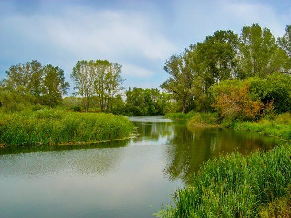 Всемирный день воды