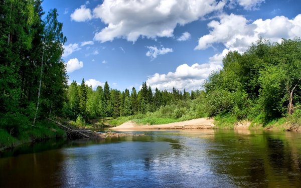 Поделки к Международному Дню рек