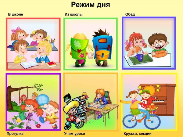 Распорядок дня