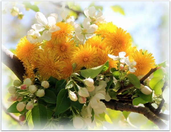 Весеннего тепла и радости