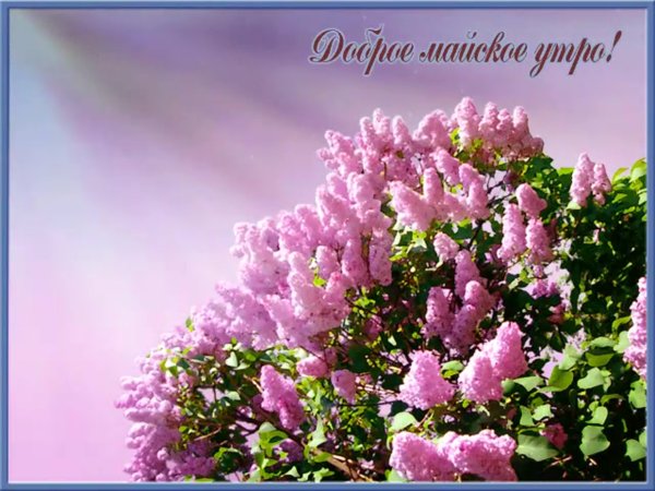Открытки с добрым майским утром