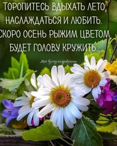 Счастливого дня и хорошего настроения