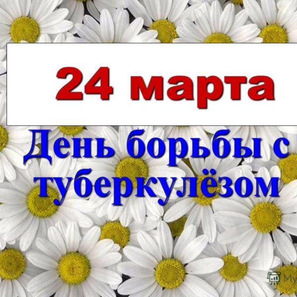 Профилактика борьбы с туберкулезом
