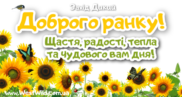 Малюнки доброго ранку