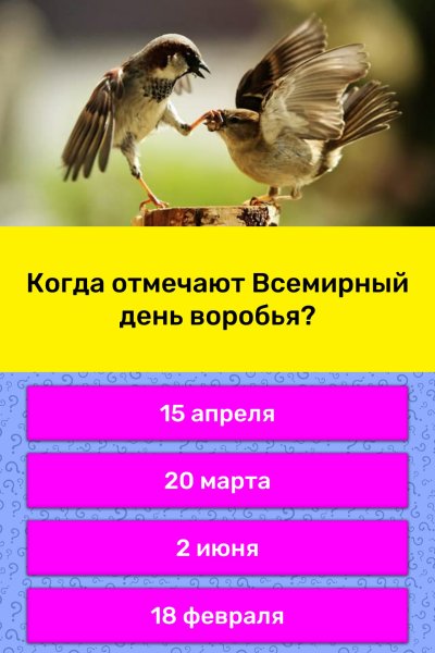 Всемирный день воробья 20 марта