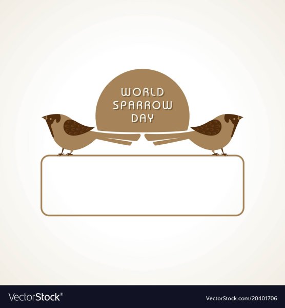 Воробьи расчирикались