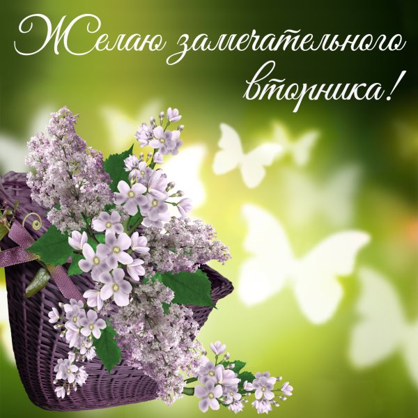 Пожелания на вторник