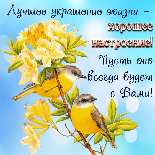 Пожелания доброго утра с птицами