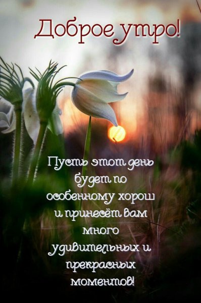 Доброе утро цитаты