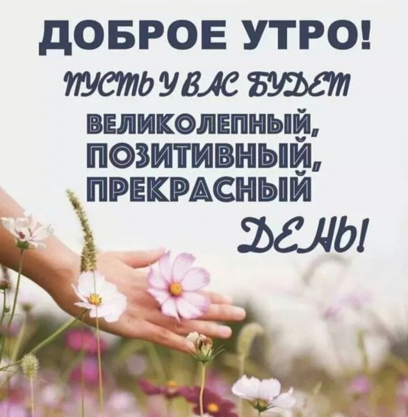Доброе утро цитаты красивые