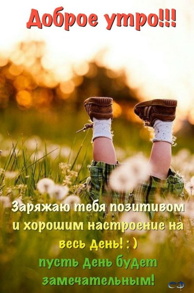 Доброе утро цитаты