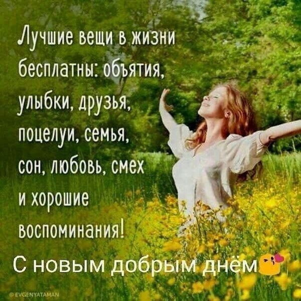 Радость жизни цитаты