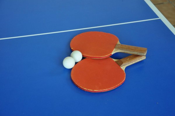 Пинг-понг (pingpong) 2006