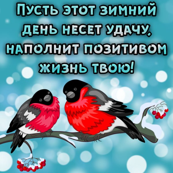 Зимние Снегири с пожеланиями доброго утра