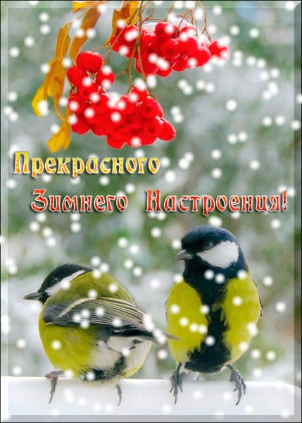 Хорошего зимнего настроения