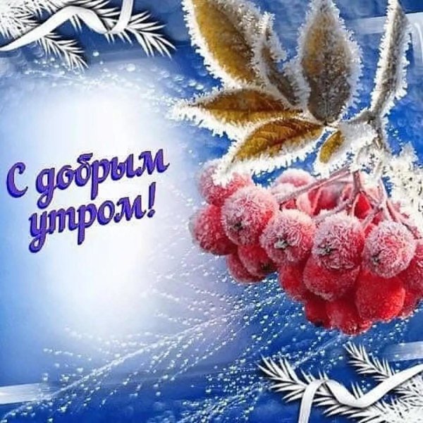 Хорошего зимнего дня