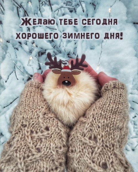 Позитивного дня зима