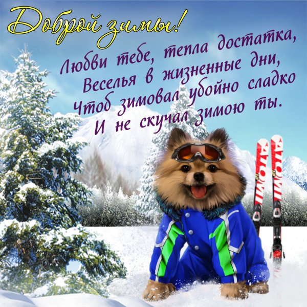 Зимние поздравления с добрым днем