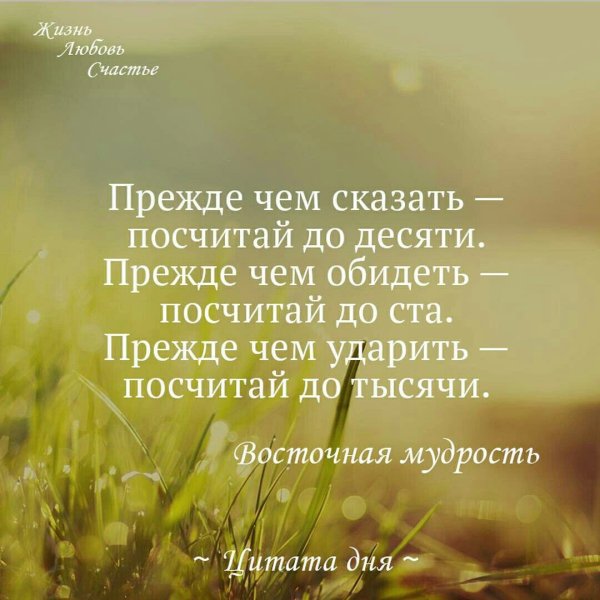 Цитата дня