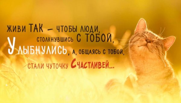 Афоризмы про жизнь позитивные