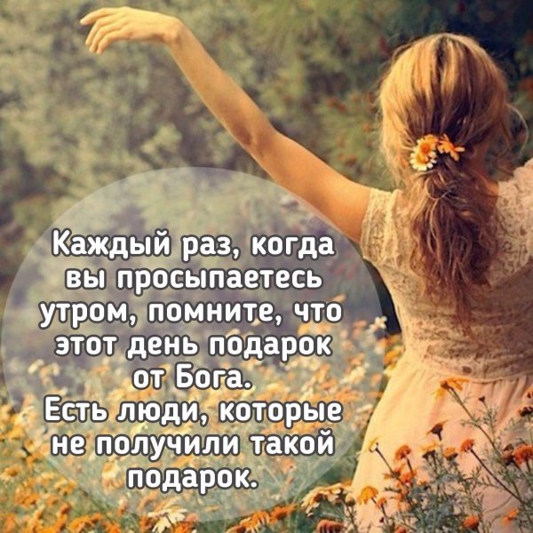 Душевные высказывания
