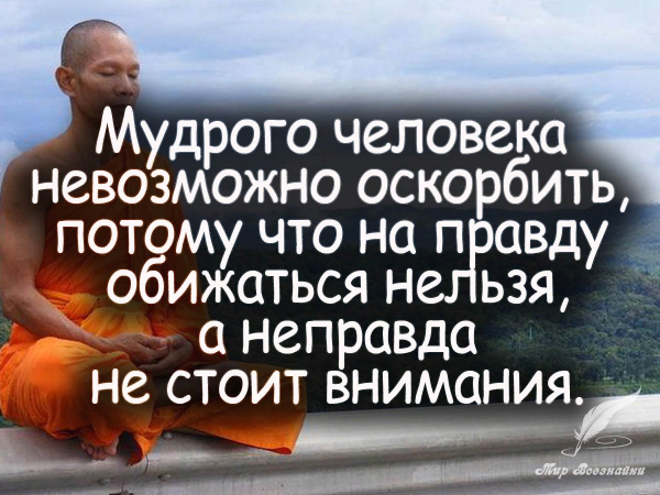 Умные цитаты