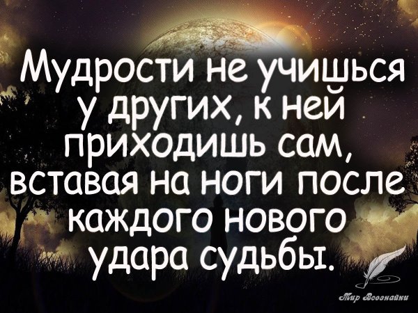 Умные цитаты