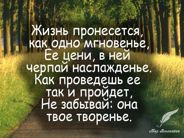 Умные высказывания