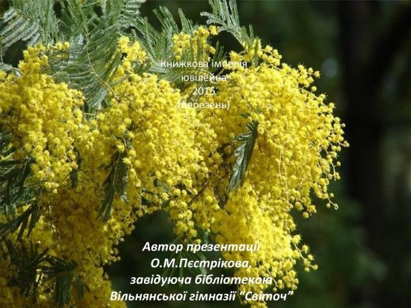 Мимоза зелень