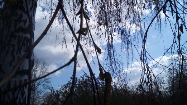 Ефимов день 24 марта