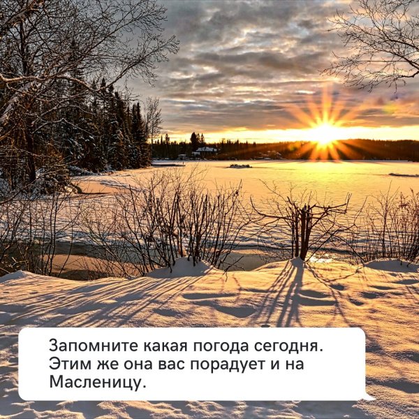 Птицы на Березе зимой