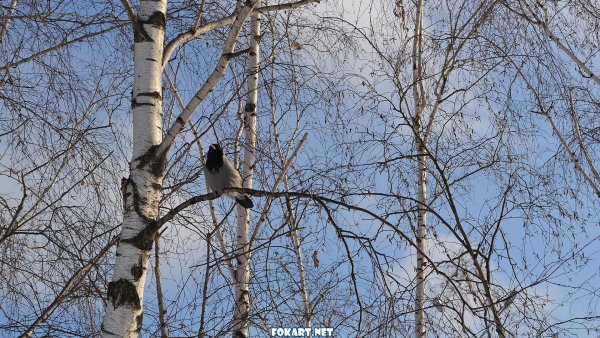 Пожелание хорошего дня в сторис