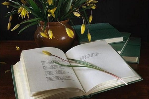 Книга цветы